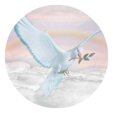 DAROUND 116 D PK Dove Clouds Pink